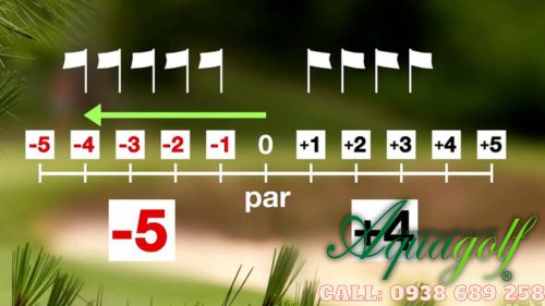 Tính điểm và thể thức thi đấu chơi golf